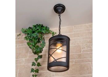 Уличный подвесной cветильник Elektrostandard Premier H GL 1017H a039857