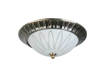 Накладной светильник Toplight Paulina TL5050Y-02AB