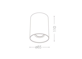 Накладной точечный светильник Kanlux RITI GU10 W/G 27570