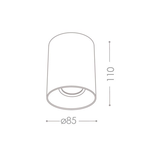 Накладной точечный светильник Kanlux RITI GU10 W/G 27570, купить в Минске по самой низкой цене
