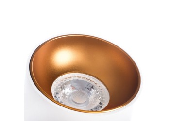 Накладной точечный светильник Kanlux RITI GU10 W/G 27570