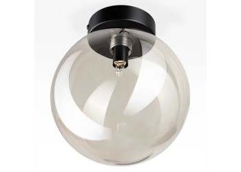 Светильник Citilux ORTON CL202511