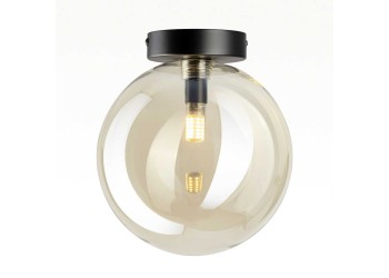 Светильник Citilux ORTON CL202512