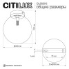 Светильник Citilux ORTON CL202512, купить в Минске по самой низкой цене