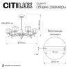 Люстра на штанге Citilux ELAN CL241171, купить в Минске по самой низкой цене