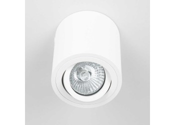 Потолочный светильник Citilux Дюрен CL538111