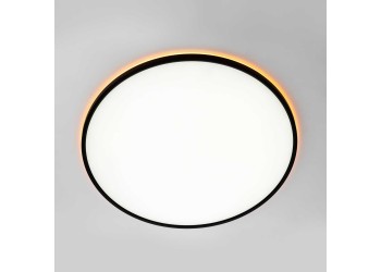 Потолочный светильник Citilux NORMA CL749601