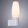 Подсветка для зеркал Arte Lamp A1209AP-1WH, купить в Минске по самой низкой цене