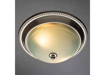 Потолочный светильник Arte Lamp 28 A3011PL-2SS