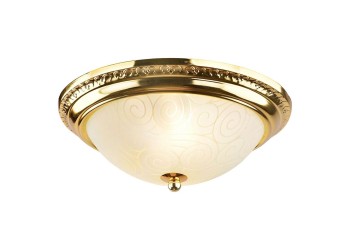 Потолочный светильник Arte Lamp 28 A3013PL-2GO