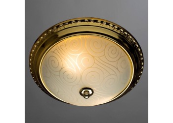 Потолочный светильник Arte Lamp 28 A3013PL-2GO