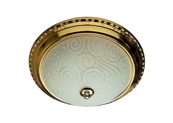 Потолочный светильник Arte Lamp 28 A3013PL-2GO