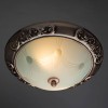 Потолочный светильник Arte Lamp 28 A3014PL-2AC, купить в Минске по самой низкой цене