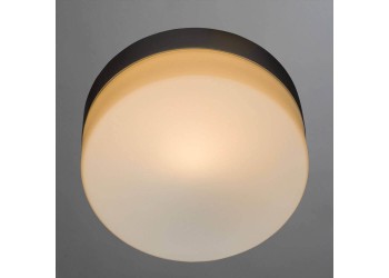 Потолочный светильник Arte Lamp Shirp A3211PL-1SI