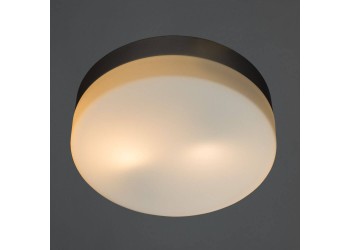 Потолочный светильник Arte Lamp Shirp A3211PL-2SI