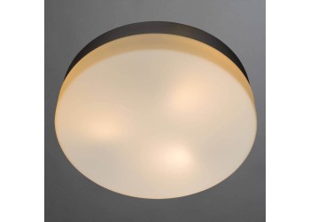 Потолочный светильник Arte Lamp Shirp A3211PL-3SI