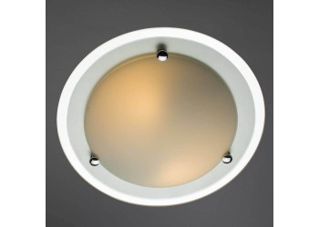 Потолочный светильник Arte Lamp A4831PL-2CC