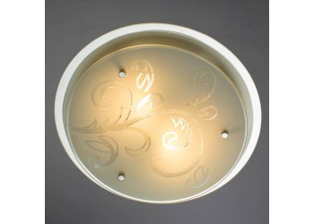 Потолочный светильник Arte Lamp A4865PL-2CC