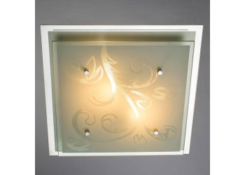 Потолочный светильник Arte Lamp A4866PL-2CC