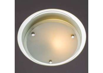 Потолочный светильник Arte Lamp A4867PL-1CC