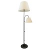 Торшер Arte Lamp Alea A5068PN-2BK, купить в Минске по самой низкой цене