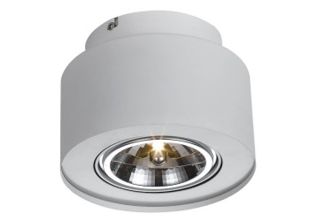 Потолочный светильник Arte Lamp Cliff A5643PL-1WH
