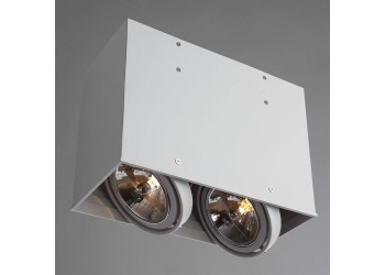 Потолочный светильник Arte Lamp Cardani A5936PL-2WH