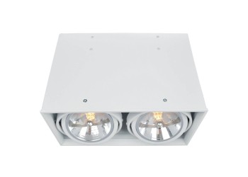 Потолочный светильник Arte Lamp Cardani A5936PL-2WH