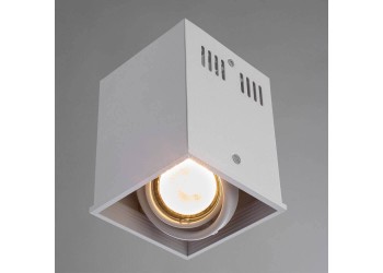 Потолочный светильник Arte Lamp Cardani A5942PL-1WH