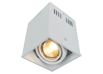 Потолочный светильник Arte Lamp Cardani A5942PL-1WH