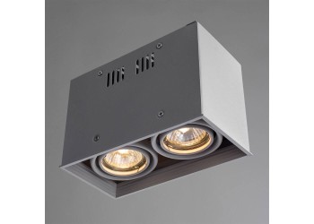 Потолочный светильник Arte Lamp Cardani A5942PL-2WH