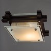 Потолочный светильник Arte Lamp 94 A6462PL-1CK, купить в Минске по самой низкой цене
