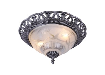 Потолочный светильник Arte Lamp Piatti A8001PL-2SB