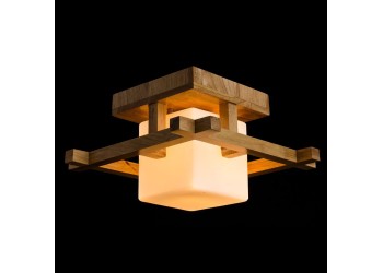 Потолочный светильник Arte Lamp 95 A8252PL-1BR