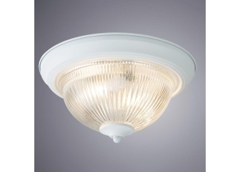Потолочный светильник Arte Lamp Aqua A9370PL-2WH