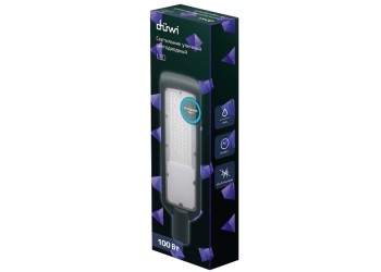 Уличный светодиодный светильник Duwi СКУ-04 100 Вт 25080 7