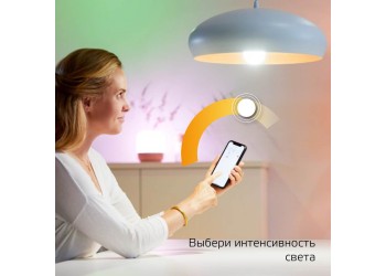 Лампа светодиодная диммируемая Gauss Smart Home E14 5W 2700K матовая 1100112