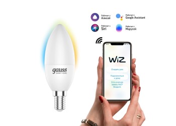 Лампа светодиодная диммируемая Gauss Smart Home E14 5W 2700-6500K матовая 1110112