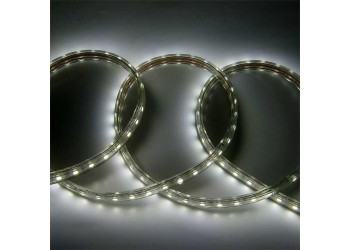 Лента светодиодная General GLS-5730-60-12-220-IP67-6 катушка 50м