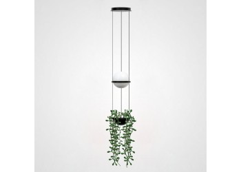 Подвесной светильник Imperium Loft Palma 168489-22