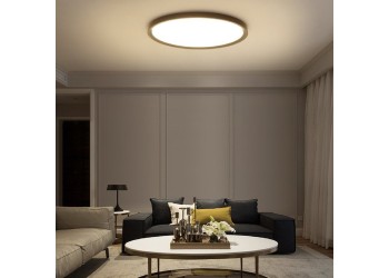 Потолочный светодиодный светильник Imperium Loft Extralism 212741-26