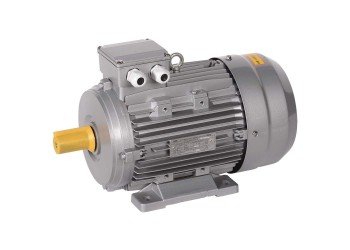 Электродвигатель асинхронный трехфазный АИС 100L8 380В 0,75кВт 750об/мин 1081 DRIVE IEK AIS100-L8-000-8-0710