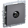 BRITE Розетка TV оконечная РТВ11-0-БрС сталь IEK BR-A10-O-K46, купить в Минске по самой низкой цене