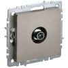 BRITE Розетка TV проходная РТВ10-0-БрШ шампань IEK BR-A10-P-K37, купить в Минске по самой низкой цене