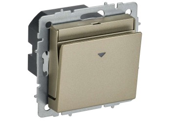 BRITE Выключатель карточный 30А ВС10-1-8-БрШ шампань IEK BR-V11-0-10-K37