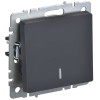 BRITE Выключатель 1-клавишный проходной с индикацией 10А ВС10-1-7-БрГ графит IEK BR-V12-1-10-K53, купить в Минске по самой низкой цене