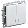 BRITE Выключатель 2-клавишный с индикацией 10А ВС10-2-1-БрЖ жемчуг IEK BR-V20-1-10-K36, купить в Минске по самой низкой цене