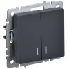 BRITE Выключатель 2-клавишный с индикацией 10А ВС10-2-1-БрГ графит IEK BR-V20-1-10-K53, купить в Минске по самой низкой цене