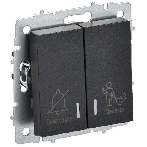 BRITE Выключатель 2-клавишный с индикацией для отелей 10А ВС10-2-9-БрЧ черный IEK BR-V20-2-10-K02, купить в Минске по самой низкой цене