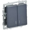 BRITE Выключатель 2-клавишный с индикацией для отелей 10А ВС10-2-9-БрМ маренго IEK BR-V20-2-10-K35, купить в Минске по самой низкой цене
